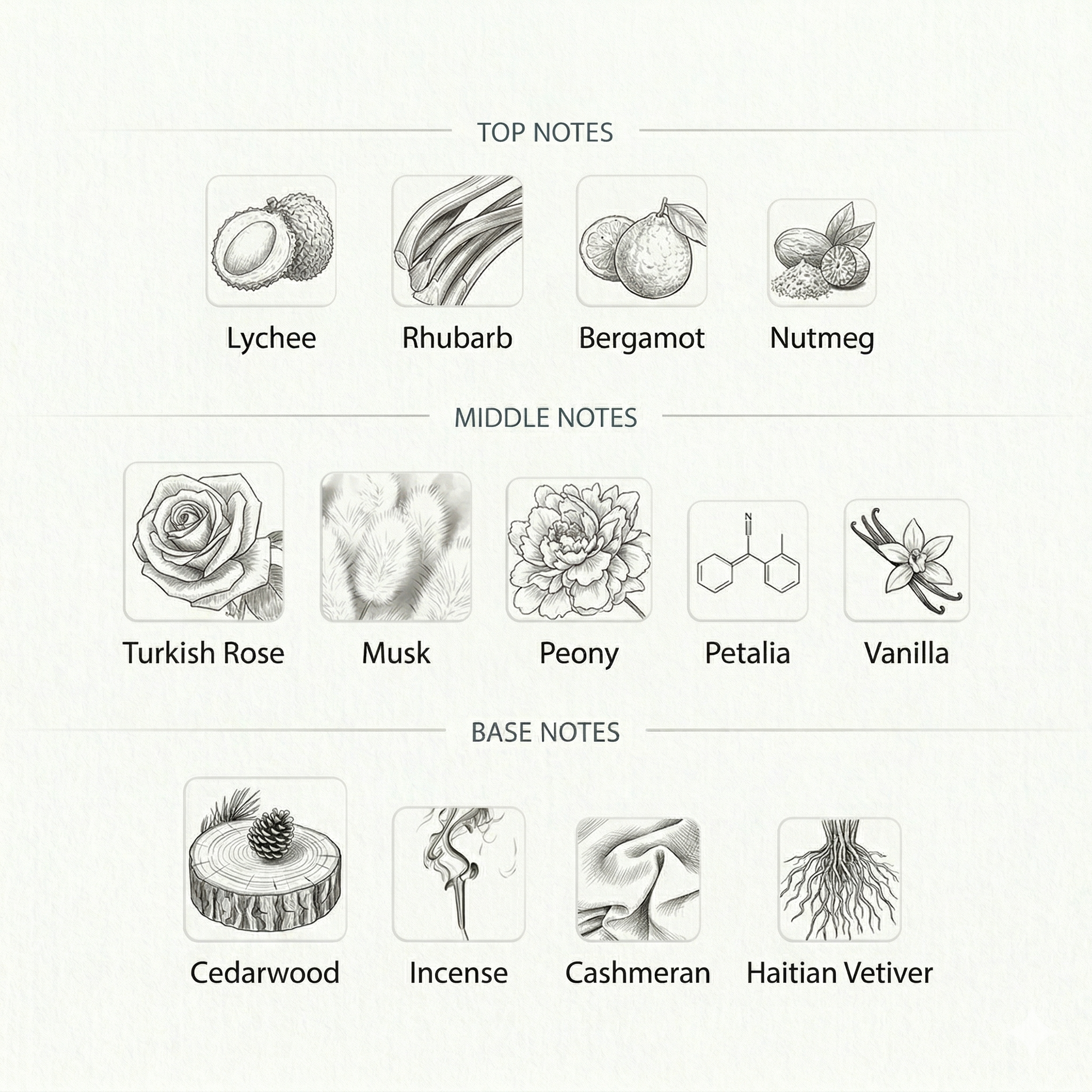 MUSK AL-LAIL ( IBRAQ )