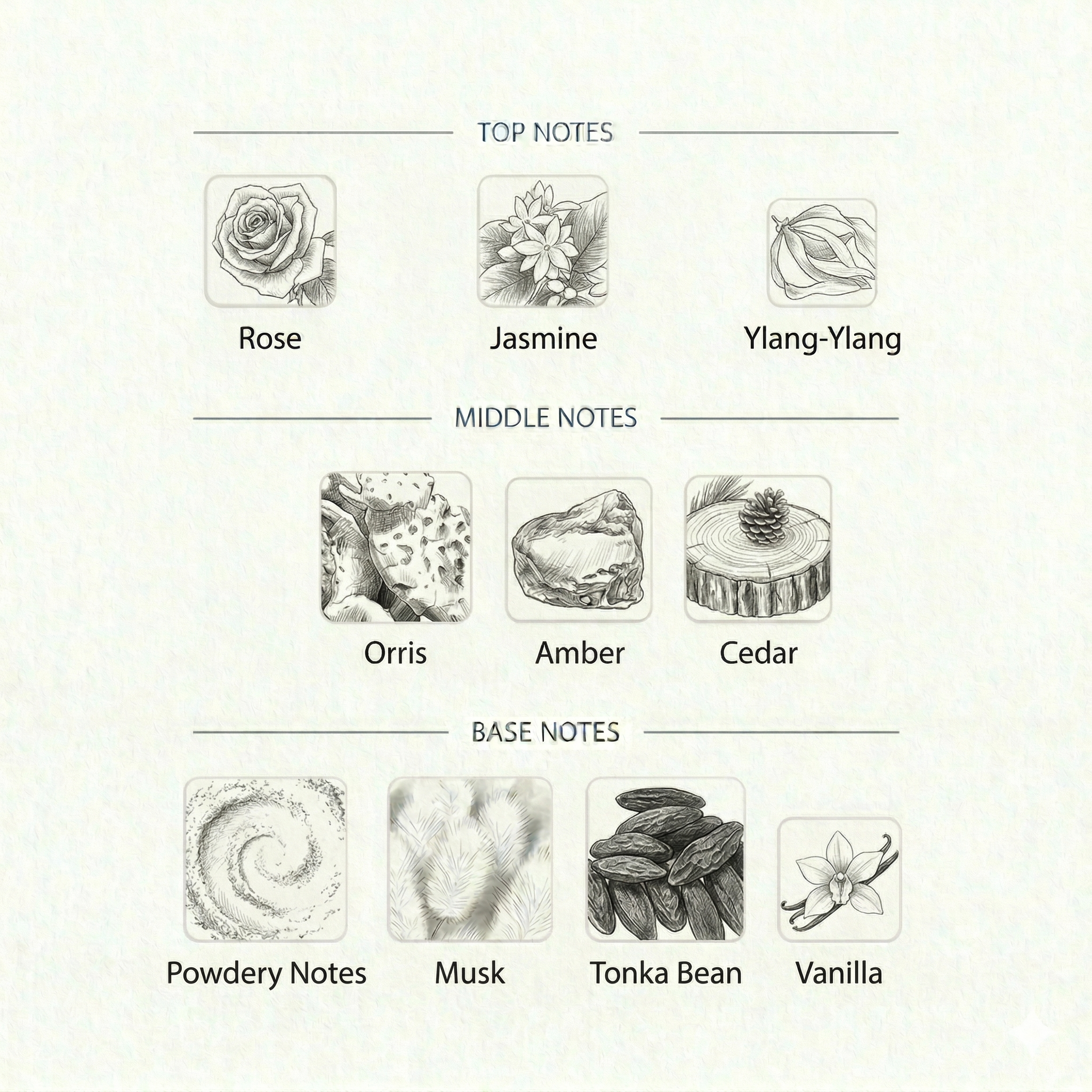 POWDER MUSK ( IBRAQ )